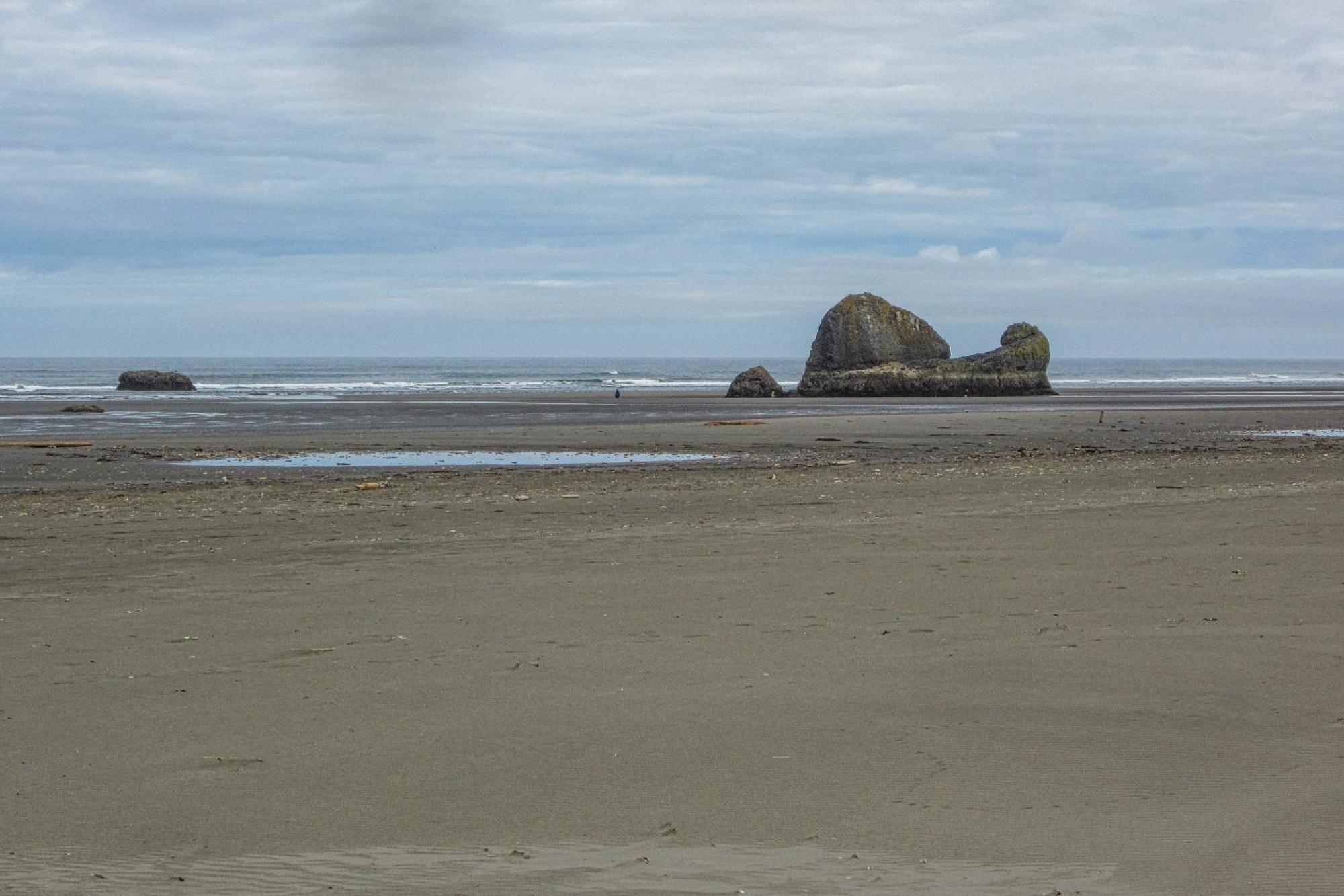 Rocks Cabin Copalis Beach Luaran gambar